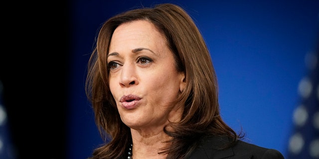 Vice President Kamala Harris speaks at the Tribal Nations Summit in the South Court Auditorium on the White House campus, Nov. 16, 2021, in Washington.