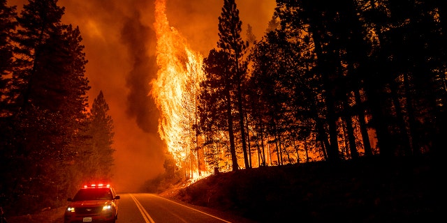California wildfires