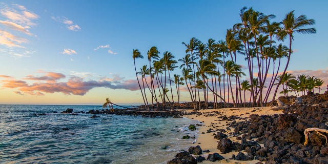 The boozy body of water is located on the island of Oahu, Hawaii.