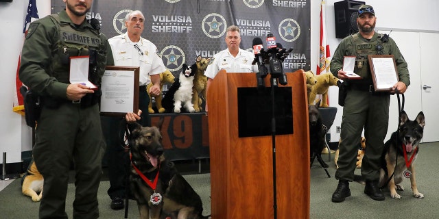 K-9 Ax, pictured left with his handler Deputy A.J. Davis, and K-9 Endo, with his handler Deputy Brett Whitson, received the honors during a ceremony Wednesday. Ax will return to service with Davis, while Endo is retiring after nearly a decade of service.