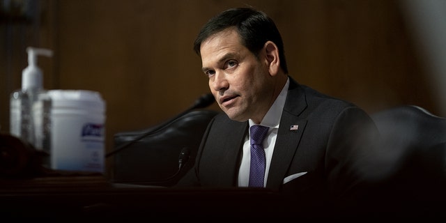 Sen. Marco Rubio, a Republican from Florida, speaks during a Senate Appropriations Subcommittee hearing in May. The senator recently voiced his concerns over foreign nationals engaging "in America’s democratic process."