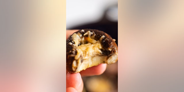 Parmesan Mushroom Appetizers by Olena Osipov, iFOODreal (iFOODreal)