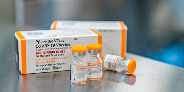 Esta foto de outubro de 2021 fornecida pela Pfizer mostra doses do tamanho de uma criança de sua vacina COVID-19 em Puurs, Bélgica.
