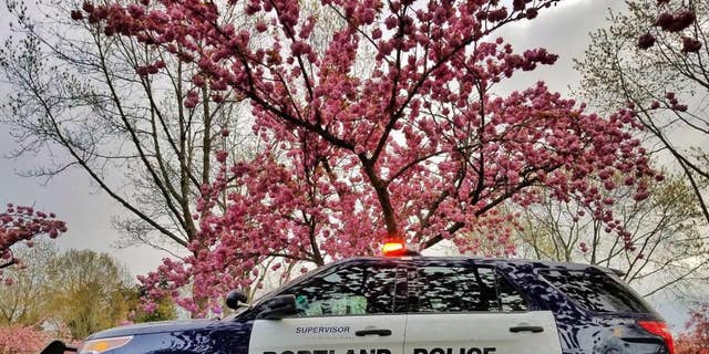 Portland Police Department patrol vehicle.