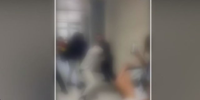 In this blurred video to protect the identities of minors, a student allegedly interferes with an arrest and is pepper-sprayed and then tased.