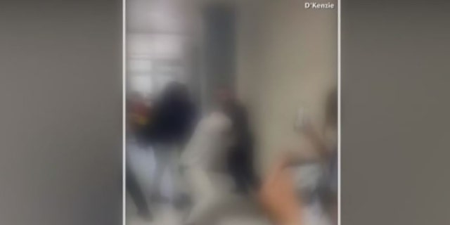 In this blurred video to protect the identities of minors, a student allegedly interferes with an arrest and is pepper-sprayed and then tased.