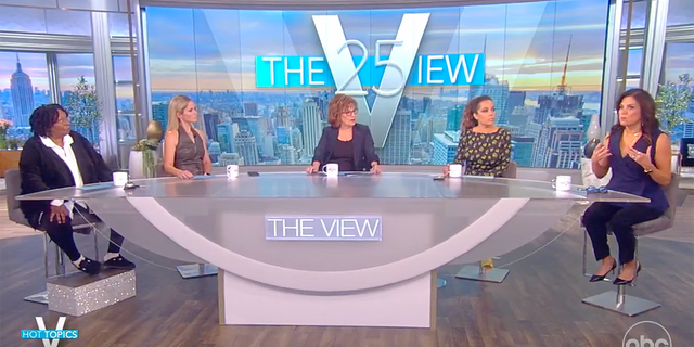 Whoopi Goldberg, Sara Haines, Joy Behar, Sunny Hostin and Michele Tafoya discuss coronavirus vaccines on Tuesday, Nov. 2 -- (Screenshot/ABC)