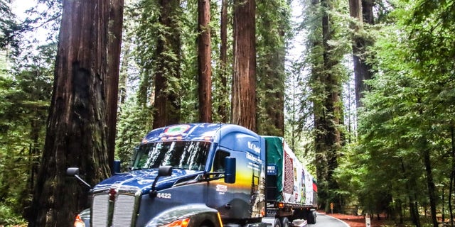 U.S. Capitol Christmas Tree truck traveling through California. (James Edward Mill)