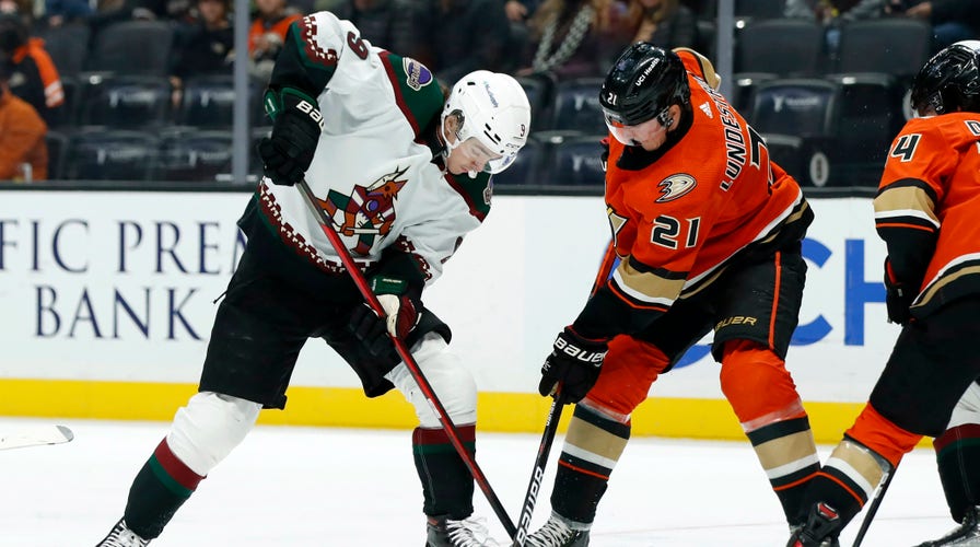 Fox News Flash top headlines for November 6