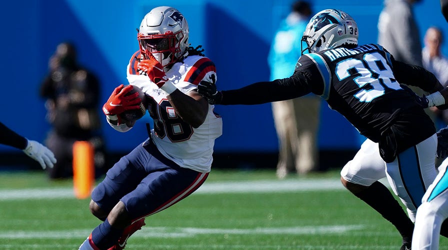 Fox News Flash top headlines for November 7