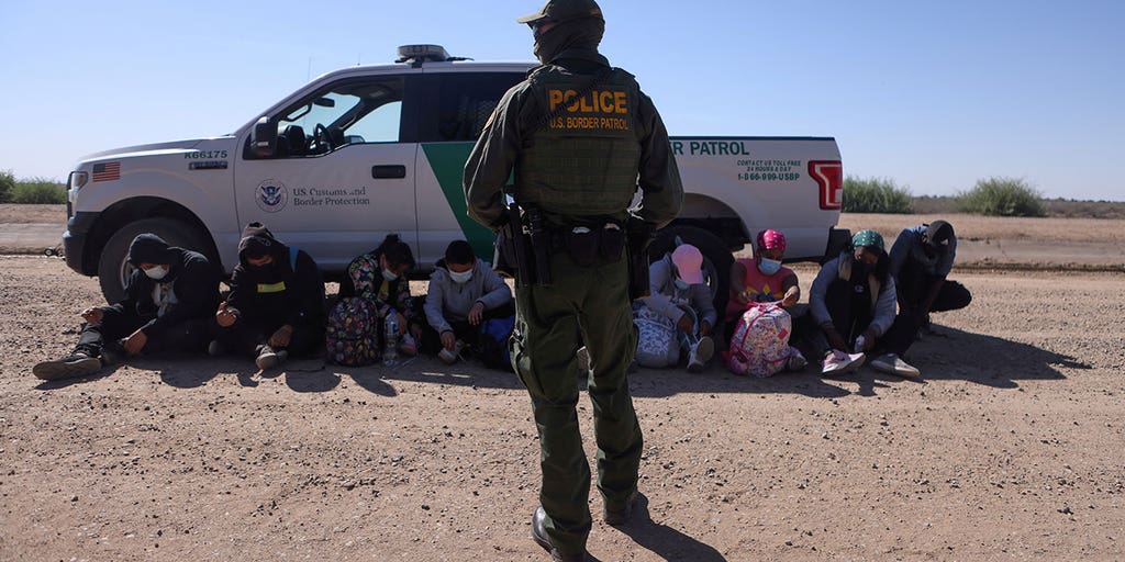 New bill would force detained illegal immigrants to provide DNA, fingerprints for nationwide crime enforcement - Vimarsana News