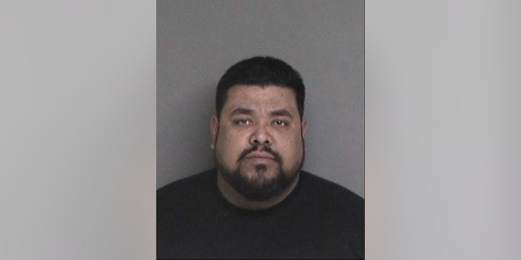 Tesla employee killed co-worker in California factory parking lot after earlier argument, police say - Vimarsana News
