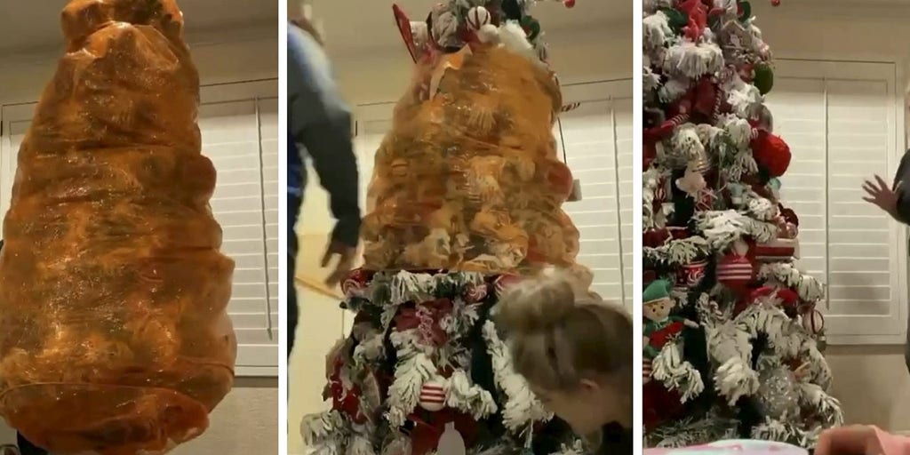 Mom preserves Christmas tree her son decorated before his death - Vimarsana News