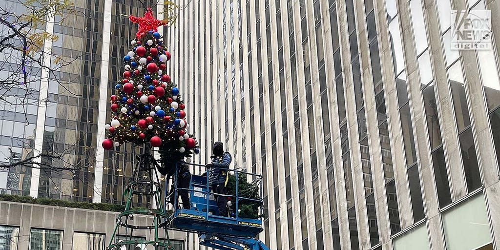 chicago christmas tree donation