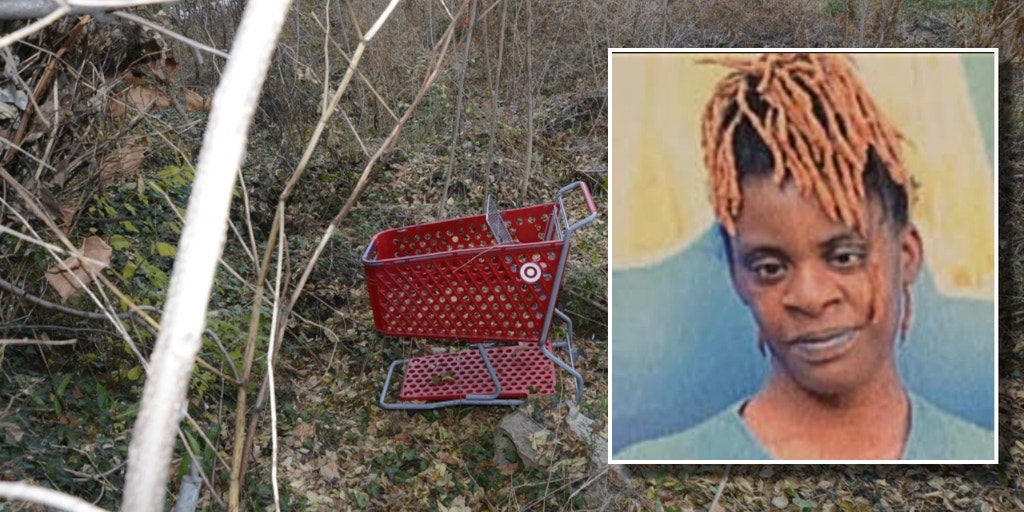 Virginia's 'Shopping Cart Killer' in custody after 4 bodies discovered - Vimarsana News