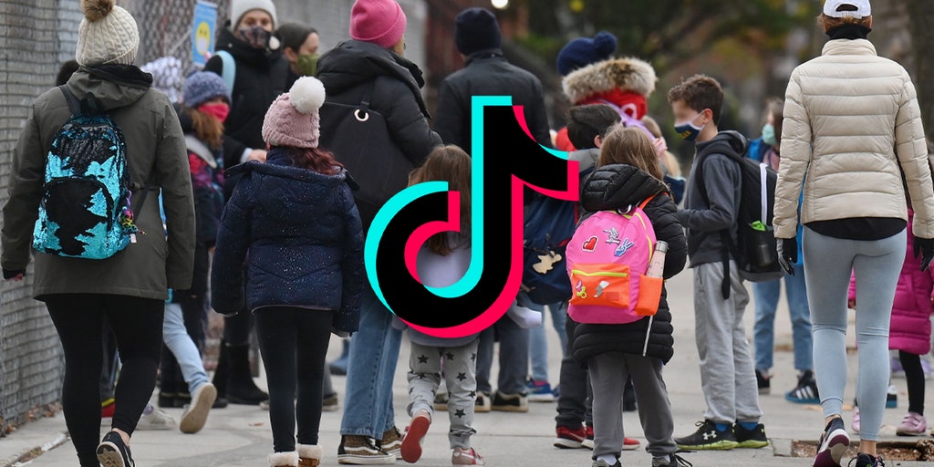 TikTok acts on children's brains like a 'candy store' shortening their attention span: report - Vimarsana News