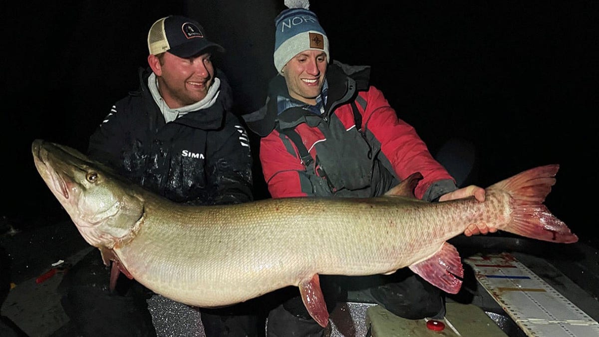 Minnesota DNR record muskie