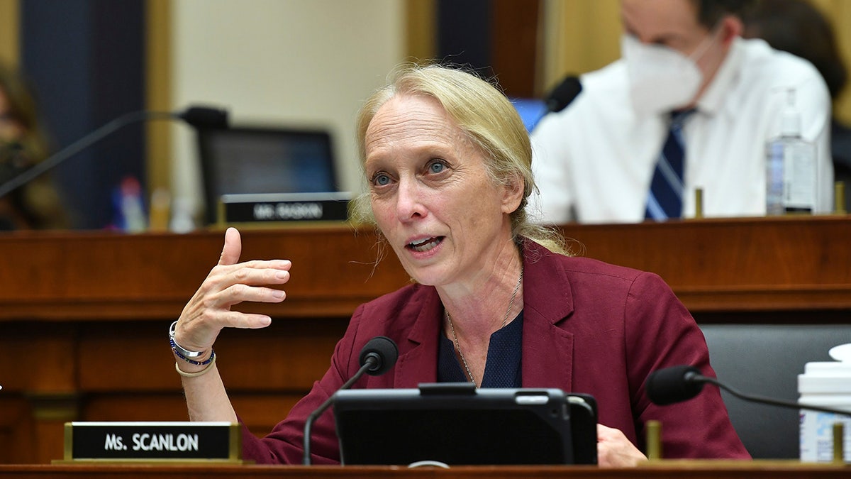 Rep. Mary Scanlon in committee hearing