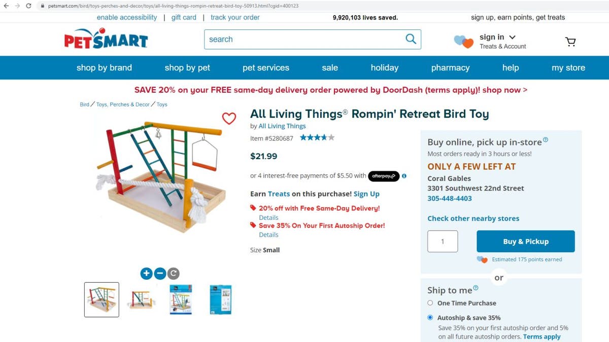 All living best sale things bird toys