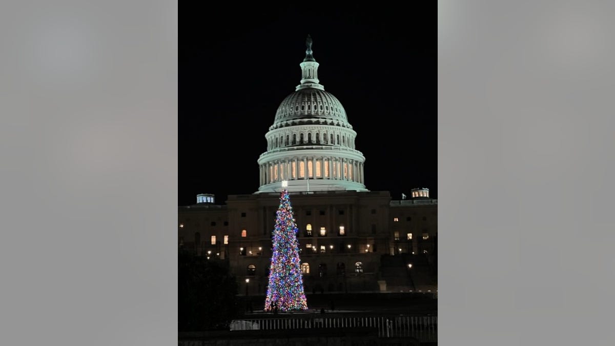 The Capitol building in Washington, D.C. decorated for the holiday season.