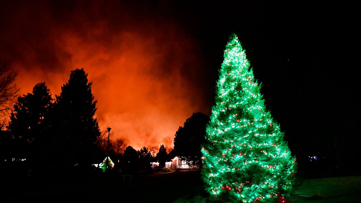 A Christmas tree with fires raging in the background in Louisville, Colorado. 