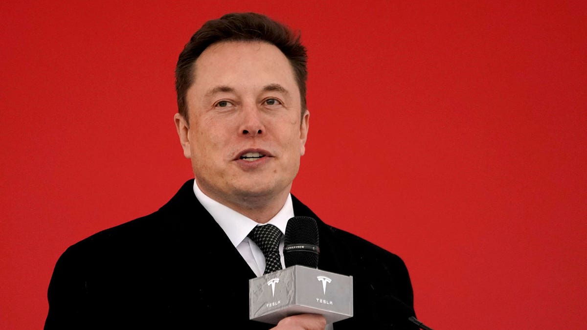 Elon Musk Tesla CEO