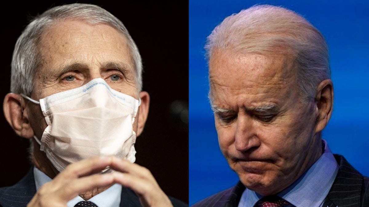 Dr. Fauci and President Biden