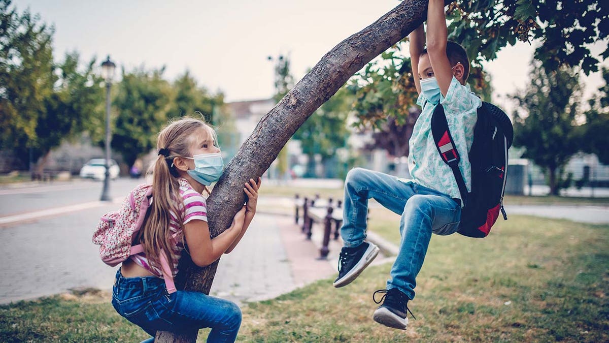 Children play on tree near school