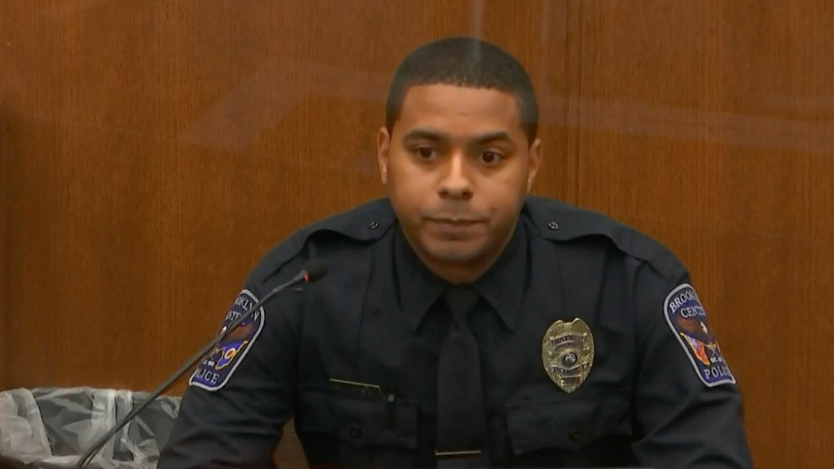 Anthony Luckey, the cop who Kim Potter was training, testified that he was trying to take Daunte Wright into custody on an outstanding warrant. 