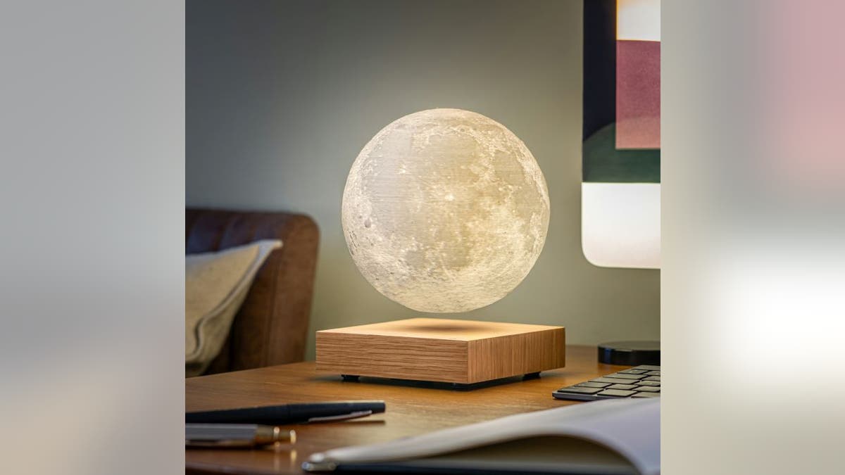 Bespoke Post Gingko Smart Moon Lamp