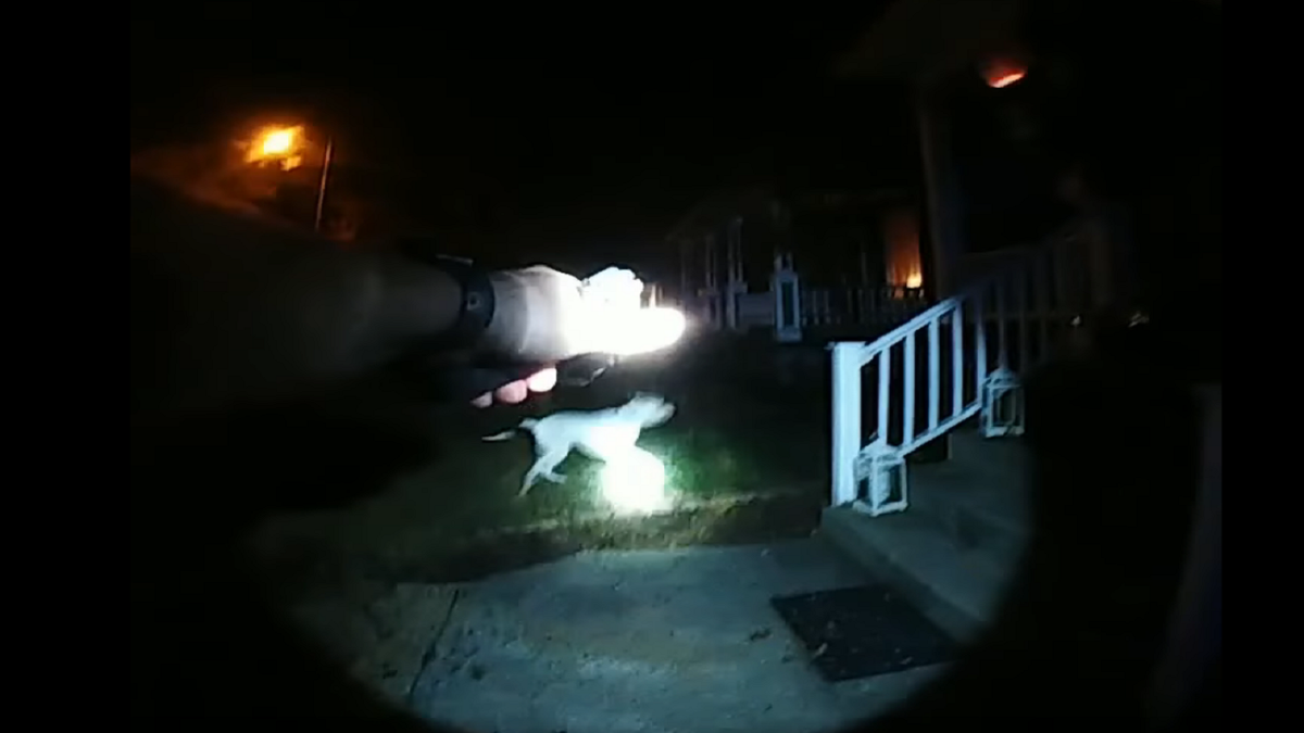 The officer is seen in another part of the bodycam footage gesturing for a white dog to back away from him. (Terre Haute Police Department)