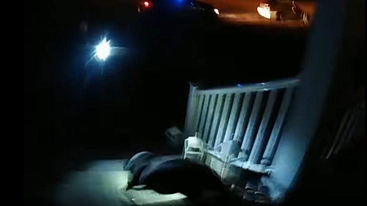 The brown dog is seen running away from the home in the officer's bodycam footage. (Terre Haute Police Department)