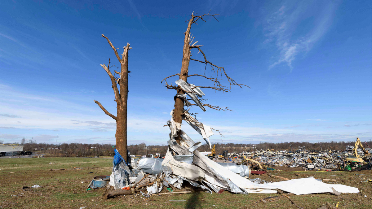 Debris is wrapped around damaged trees as emergency workers search through what is left of the Mayfield Consumer Products Candle Factory after it was destroyed by a tornado in Mayfield, Kentucky, on Dec. 11, 2021.