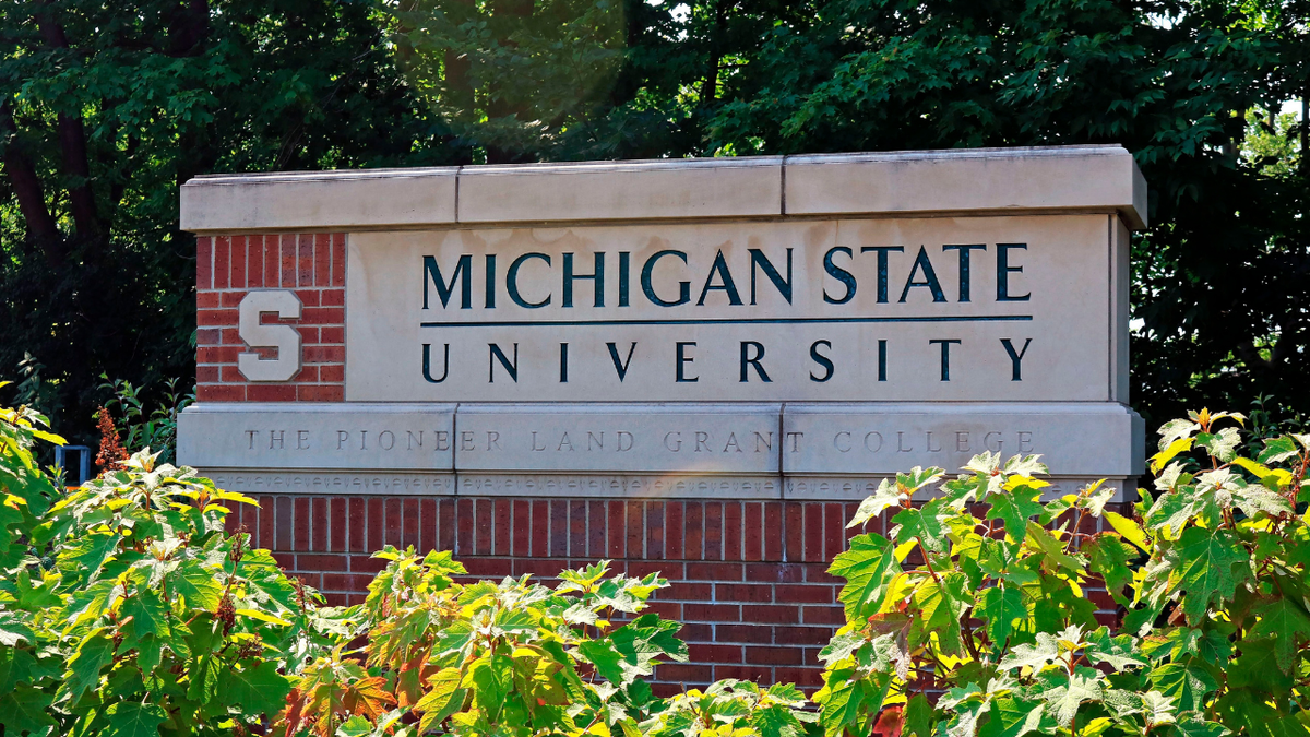 Michigan State sign