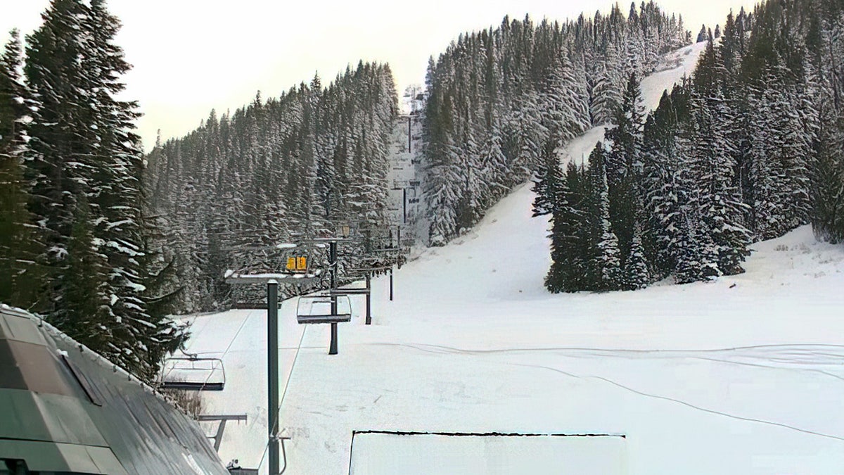 An avalanche at a Washington state ski resort killed a 66-year-old man and trapped five others over the weekend after the group entered a closed part of the resort while backcountry skiing.