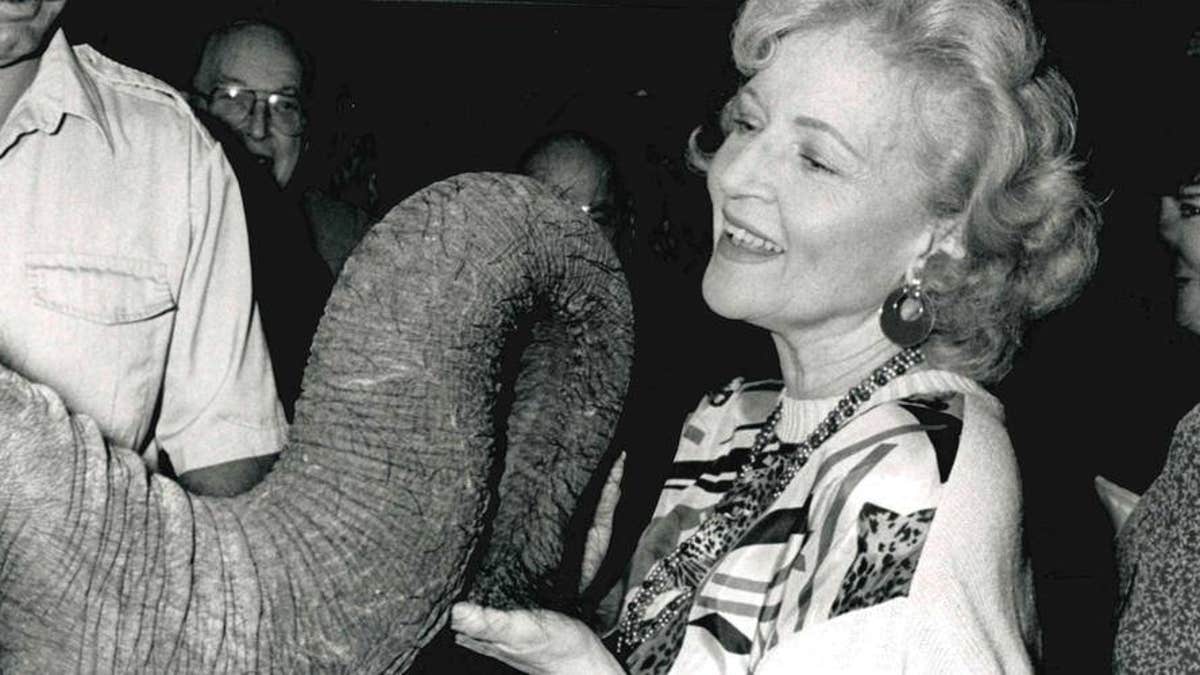 Betty White is seen holding an elephant's trunk in this image released by the Morris Animal Foundation, which the TV star was involved with for five decades. 