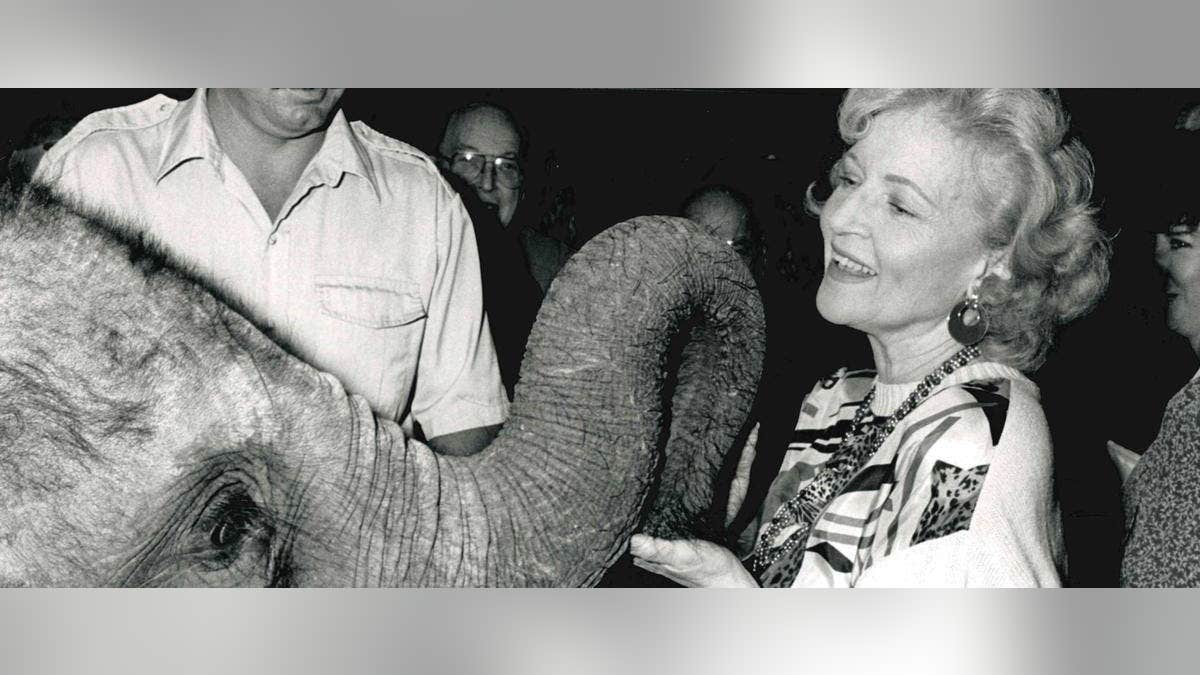 Betty White is seen holding an elephant's trunk in this image released by the Morris Animal Foundation, which the TV star was involved with for five decades.
