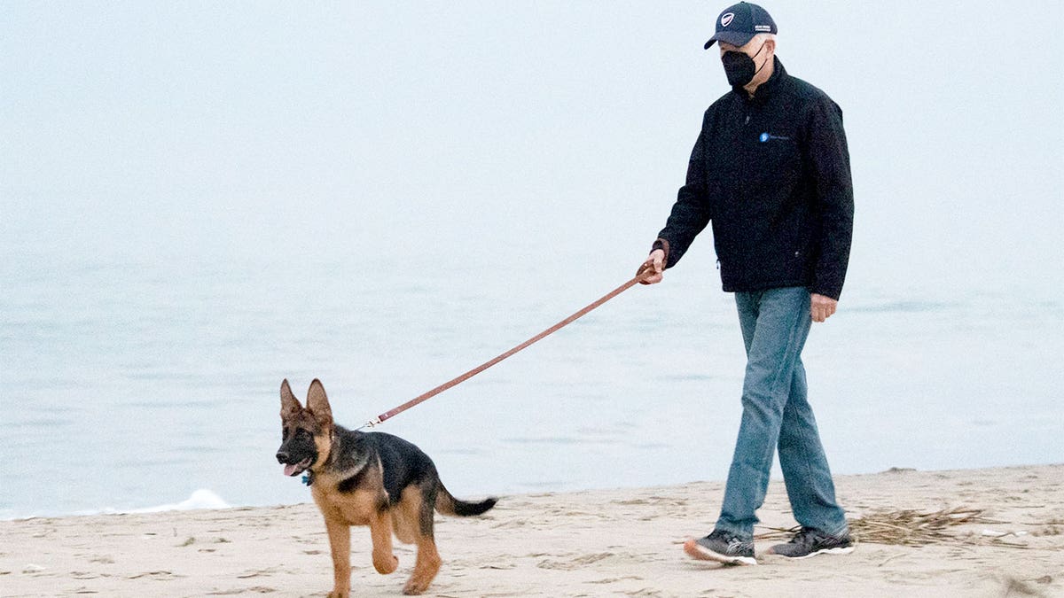 President Biden walks his dog Commander on the beach in Rehoboth Beach, Delaware, Dec. 28, 2021. 