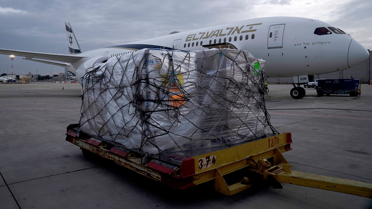 A shipment of Pfizer's antiviral COVID-19 pill, Paxlovid, sits on a pallet on arrival at Ben Gurion International airport near Tel Aviv, Thursday, Dec. 30, 2021.