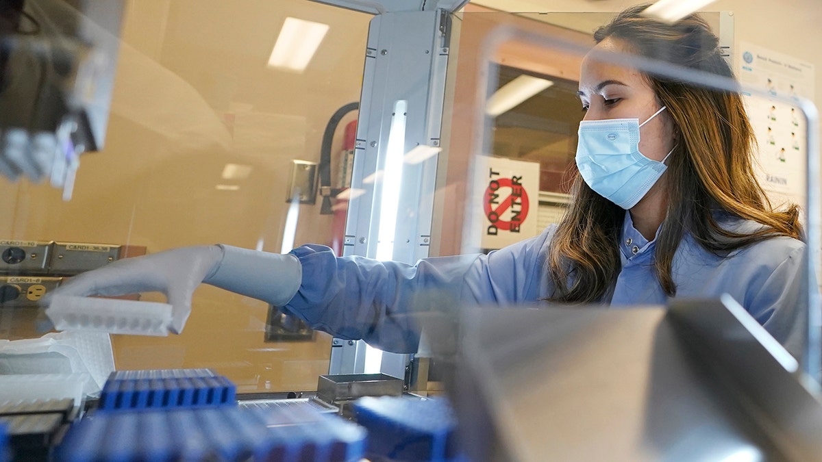 Kristin Grant, a microbiologist on the COVID-19 team at the Washington State Department, loads samples that tested positive for COVID-19 on Dec. 7, 2021, in Shoreline, Washington.  