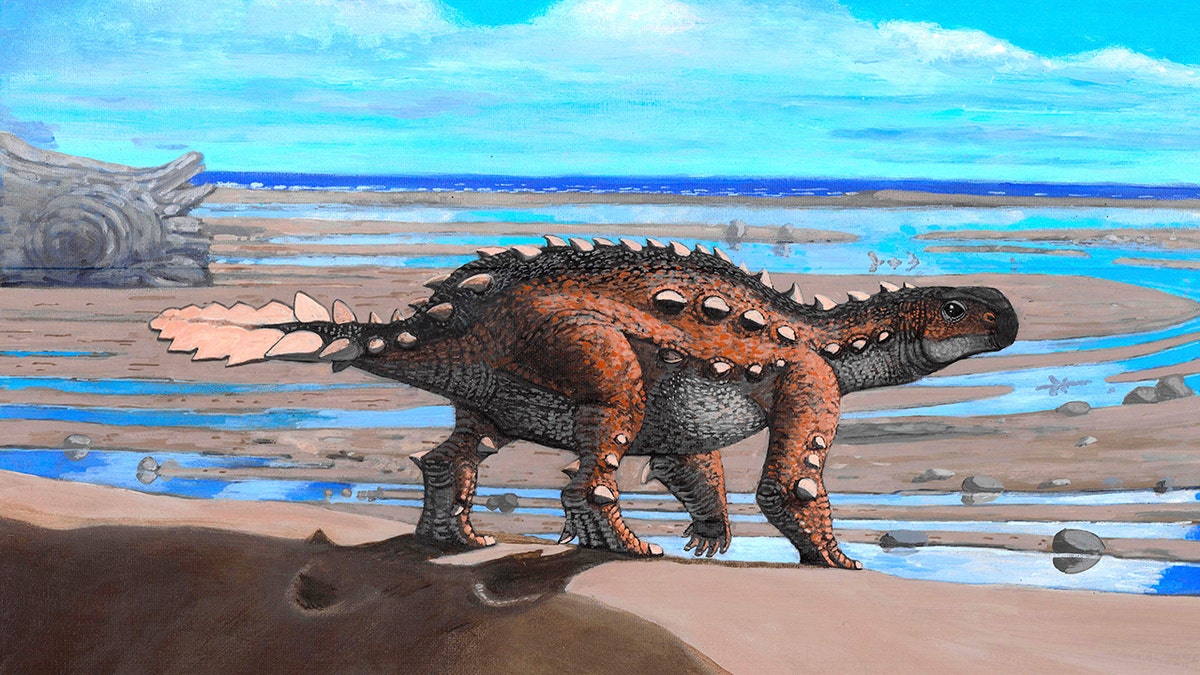 This illustration provided by Luis Perez Lopez shows a stegouros. Fossils found in Chile are from the bizarre dog-sized dinosaur species that had a unique slashing tail weapon, scientists reported Wednesday, Dec. 1, 2021. 