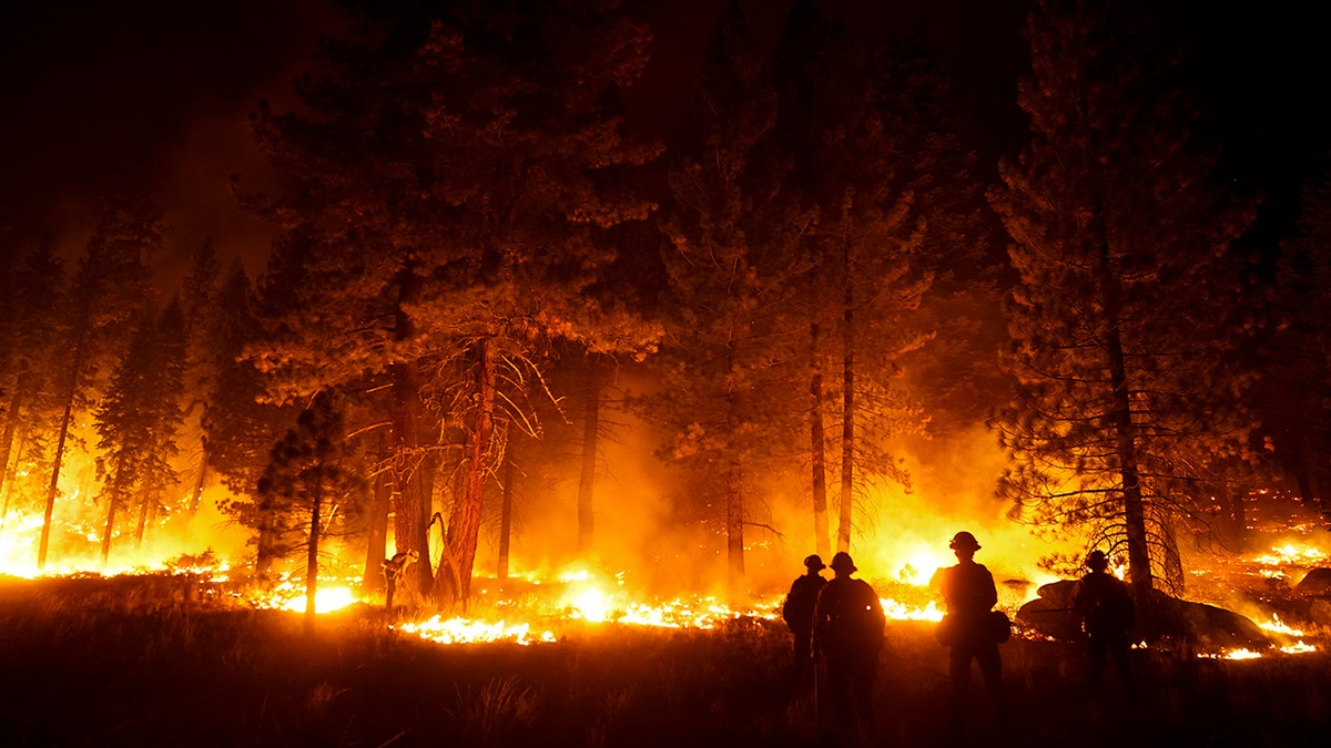 A firefighter lights a backfire to stop the Caldor Fire from spreading near South Lake Tahoe, California, Wednesday, Sept. 1, 2021.