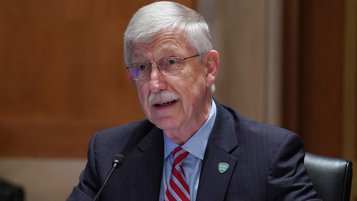 National Institutes of Health Director Dr. Francis Collins testifies before a Senate Appropriations Subcommittee