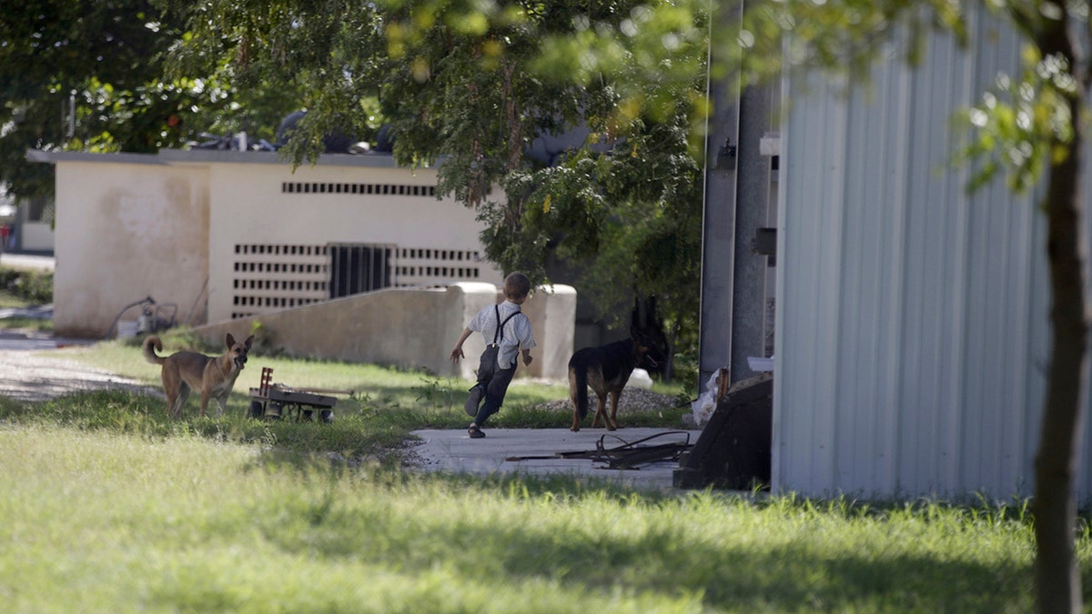 A child plays with his dogs at the Christian Aid Ministries headquarters in Titanyen, north of Port-au-Prince, Haiti, Monday, Dec. 6, 2021. The religious group based in Ohio said that three more hostages were released on Sunday, while another 12 remain abducted in Haiti. The group provided no further details.?
