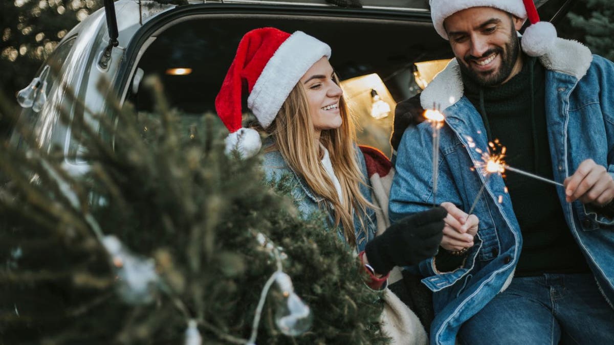 Christmas car decorations: What you need to know to be stylish and safe