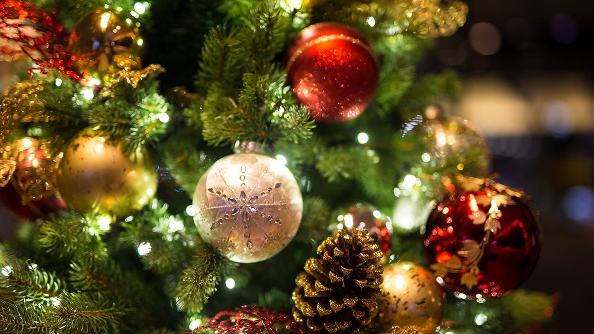 Close-up of a decorated Christmas tree