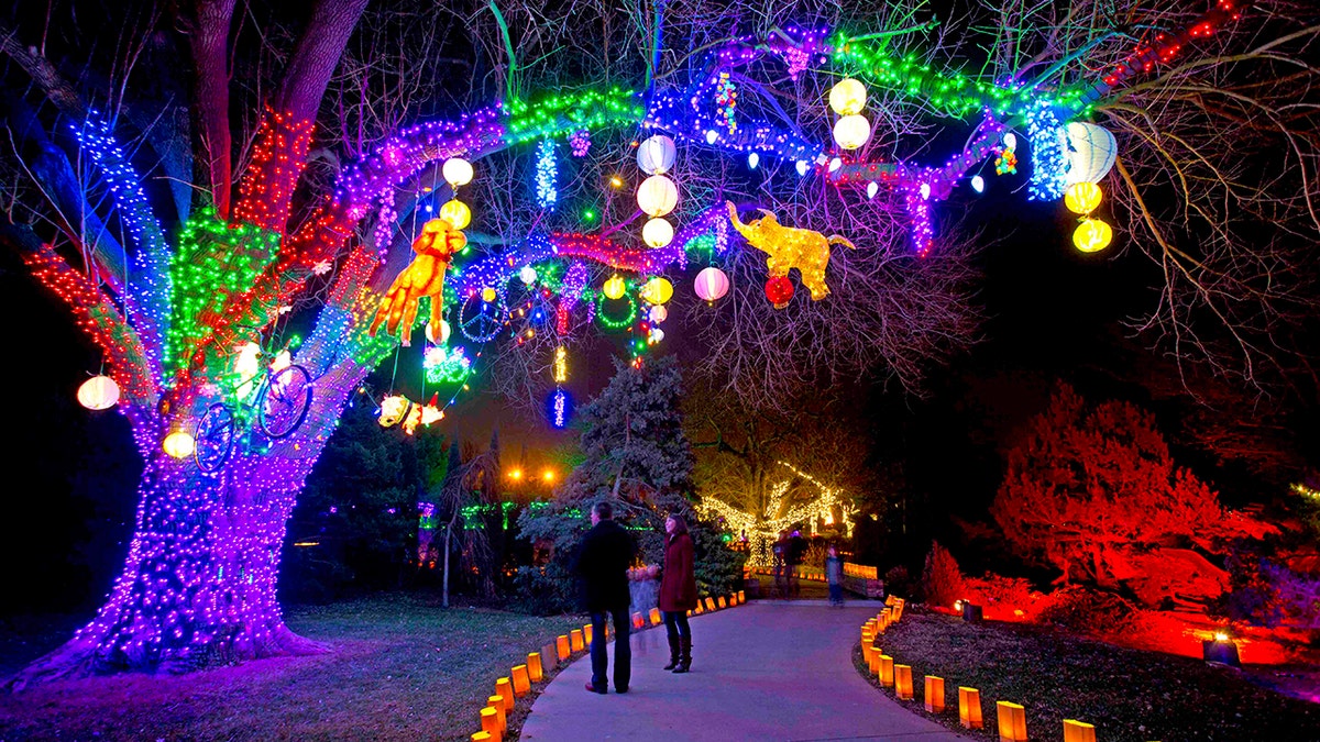 lluminations at Botanica Wichita in Wichita, Kansas