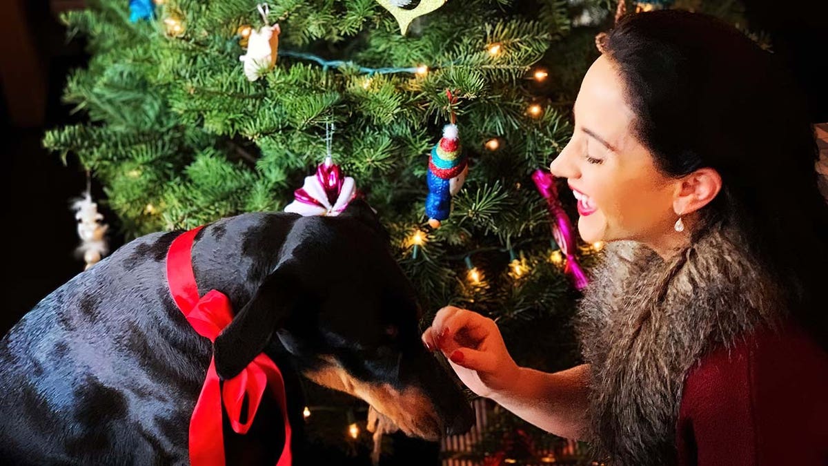 Emily Compagno, Fox News, Christmas, dog