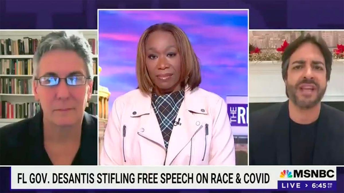 Dayana Wright, Joy Reid, and Fernand Amandi