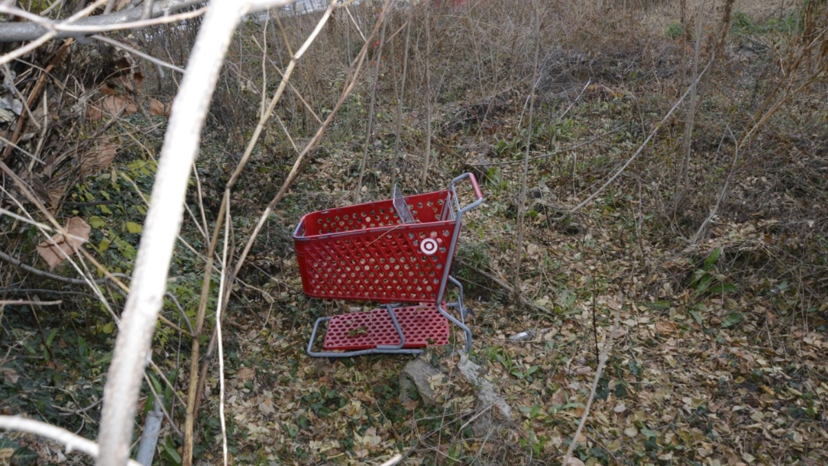 Shopping cart where Fairfax homicide detectives found human remains (Fairfax County Sheriff's Office)